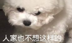 全新、大胆、有点狠的车载广告语：骚话十足、引爆你的驾驶体验！