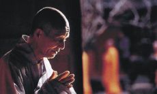 探究佛门智慧：海涛法师亲授的20句禅语，助你踏上学佛之旅