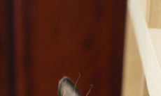 让您感到美好幸福的充满诗意的句子