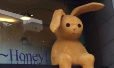 当我们只能透过屏幕打字交流时，那些令人心酸的句子