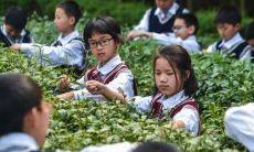 通过跨越困境与自我超越实现个人成长的励志学习座右铭