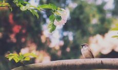 盼2022年三月告别，期四月迎来希望：鼓舞人心的励志句子