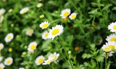 让你嘴角上扬、心情晴朗的搞笑、开心、励志句子大全！