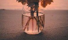 夏季给客户发的问候短信，表达真诚关怀与感谢