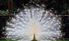 与同龄幼儿互动的愉快句子，让小朋友在游戏中快乐成长！