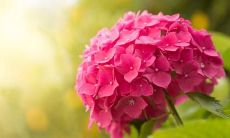 用心制作的周末问候短信，给予客户关怀与温暖