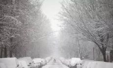 由于寒潮袭击，向您致以短信问候的消息