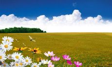 发送给老战友的温馨问候短信，以表达长久的友谊和深厚的情感联系