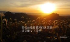 探索励志经典句子，激励自我提升，实现个人成长与成功