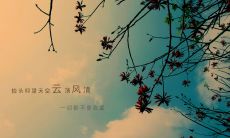 向老师表达感激之情的温馨句子——教师节留言推荐