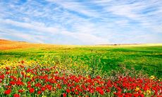 在这个世界上遇见你是我人生中最幸福的时刻：表达我对你的开心与感激