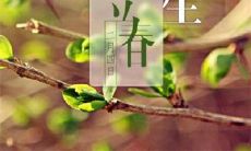 万物复苏之时——迎接立春到来的美丽句子
