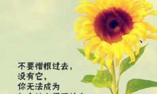 探索小清新唯美风格的优美句子，打造内敛深邃的文学情感体验