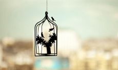 让你感受到温暖的、令人陶醉的、优美诗句的集合