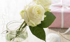 十年难忘的美好回忆：充满愉悦的句子俘获心灵！