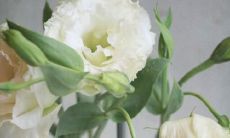 花开花美，万物欣欣向荣——流露幸福情怀的的美丽词句