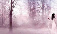 一组感人至深的、令人心痛的、而又激起涟漪的句子，为你深夜流泪、思念逝去的人或事，浸染心灵的苦涩和幽怨，让你在孤独的深夜里将内心真实的情绪发泄出来:伤感句子精选