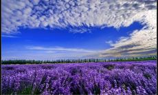 在寒冬中能够温暖人心的含蓄而深刻的亲情句子