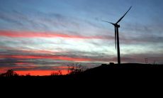 感动人心的亲情句子，令人感慨人生之美妙