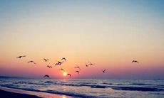 最让人开心的句子：为何人们更愿意听到积极话语与正面情绪描述？