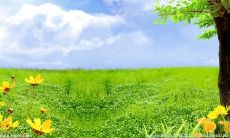 探究万物之美，颂扬自然之神韵——富有诗意的描写美的名言汇总