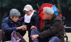 探寻祖孙情缘：经典句子感悟亲情之美