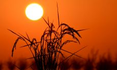 高考成败关键口号，壮志凌云，押韵霸气！