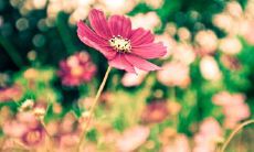 一句让我感动的话，让我深刻体会到亲情的珍贵与力量