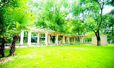 用温暖的祝福语，表达对学校的美好祝愿和慰问之情