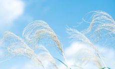 2022年迎接新的个性化社交媒体时代：为你打造的与众不同的朋友圈说说！