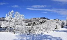 在冰冷的冬季里，流淌出的美丽唯美短句与你分享