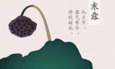 在寒露时节，分享祝福语来表达祝福之情