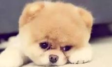 失望于家人冷漠无情的行为，损害了家庭纽带与亲情关系的情景描述