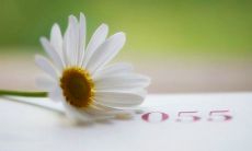 一系列能启迪人生，深刻揭示人性与存在意义的引人入胜的句子