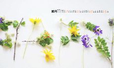 在我的余生中，我感恩遇见你——一个可以让我重新点燃生命激情的人