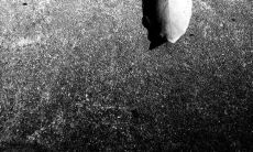 遭受无数心痛，如今沉淀为文字的深刻句子