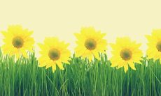 如何用积极乐观的句子增强自己的心理韧性和情绪抗压能力？