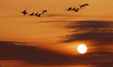 今天不努力，明天会后悔的句子，让我们珍惜每一天的时间