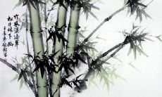 探索竹子之美的精选赞美句子