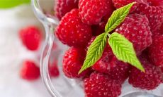 周末轻松随心，快乐自由的措辞