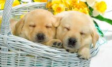 发掘亲情之深度：用感人家人句子，表达我们对家庭的珍视与感激之情