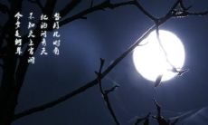 30个描写中秋节的优美句子，感受中秋节的浪漫和美好！