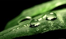 艾弗森的鼓舞人心的激励性名言，教你如何在生活中取得成功