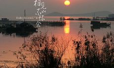 怀念胜于相见：让人心痛的话语