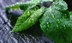 感人至深的描述：家人之间的情感纽带，是一种永恒的陪伴与无私的守护