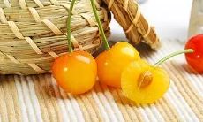 订购适用于4s店的个性化天气问候短信模版，发送给您的客户，增加客户满意度