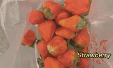 100句唯美的句子，专为表达心情而生，让你的情感倾泻无遗