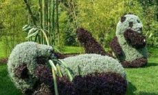 A collection of joyous English sentences that depict a person's happiness