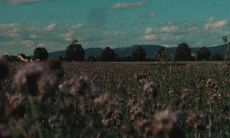 伤感至极的励志名言：余生将不再侵扰，令人深陷泪海