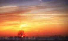 如何在早上第一时间用温馨的短信向心仪的人表达问候与关怀？